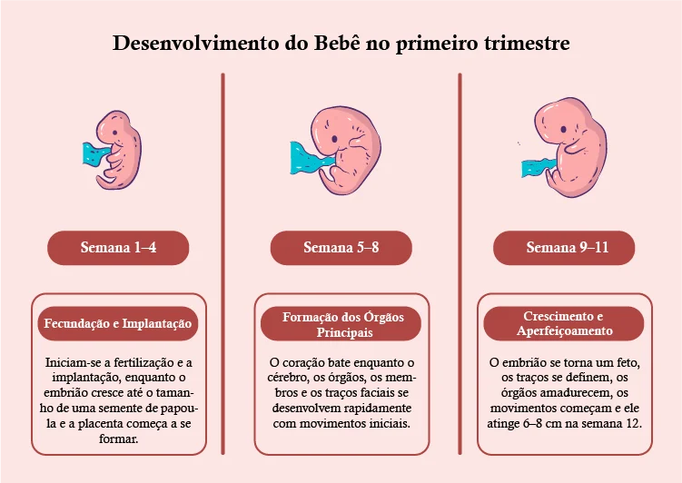 Desenvolvimento do Bebê no Primeiro Trimestre