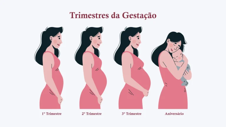 Imagem em destaque dos trimestres da gestação